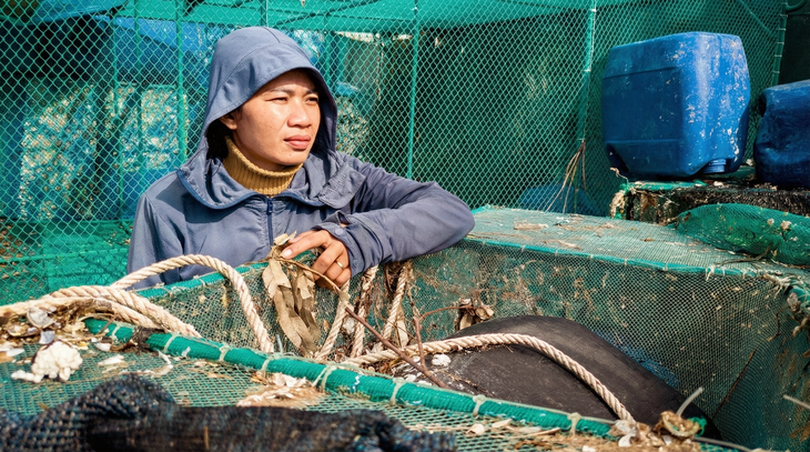 Giúp dân vùng bão lũ tái thiết sản xuất - Ảnh 1.