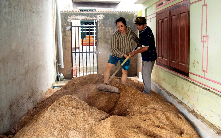 tái thiết - Ảnh 3.