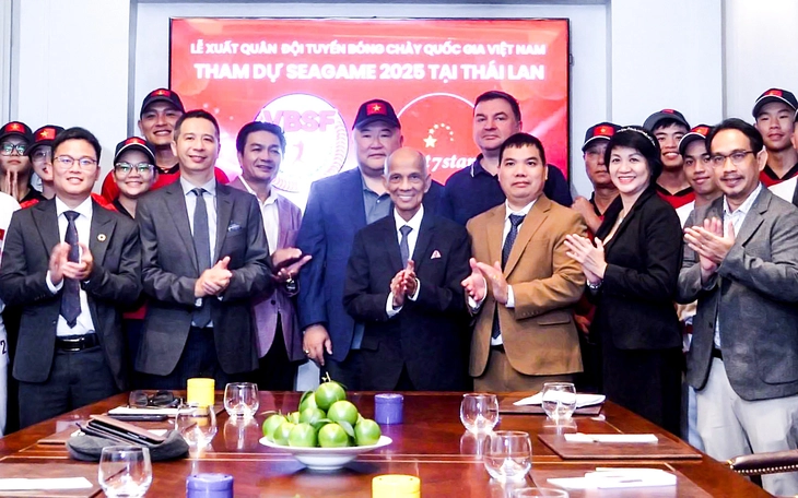 Bóng chày nỗ lực vươn lên - Ảnh 2.