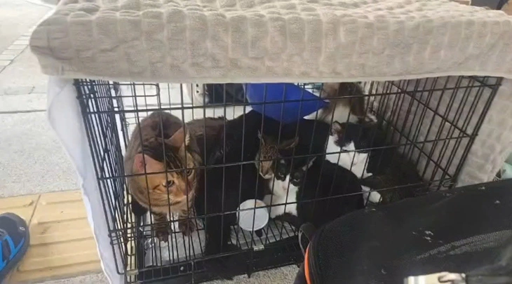 Hong Kong - Ảnh 2.