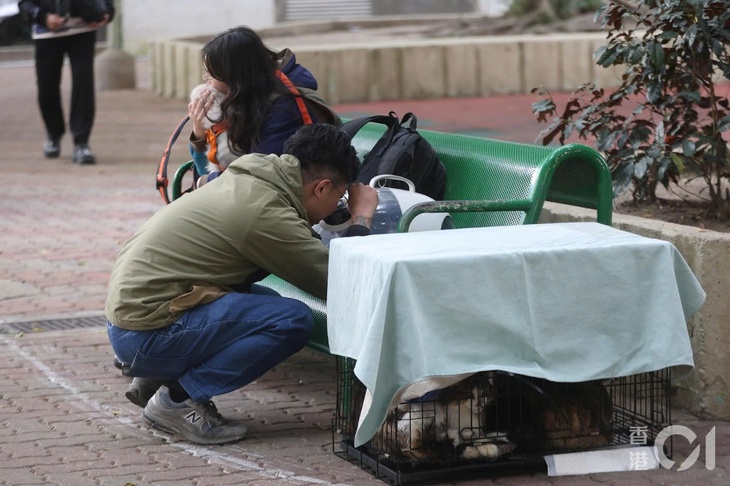 Hong Kong - Ảnh 3.