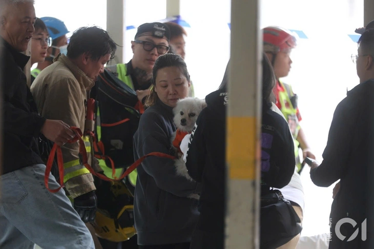 Hong Kong - Ảnh 7.