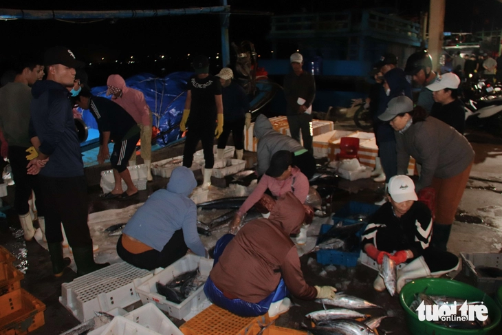 cảng cá - Ảnh 1.