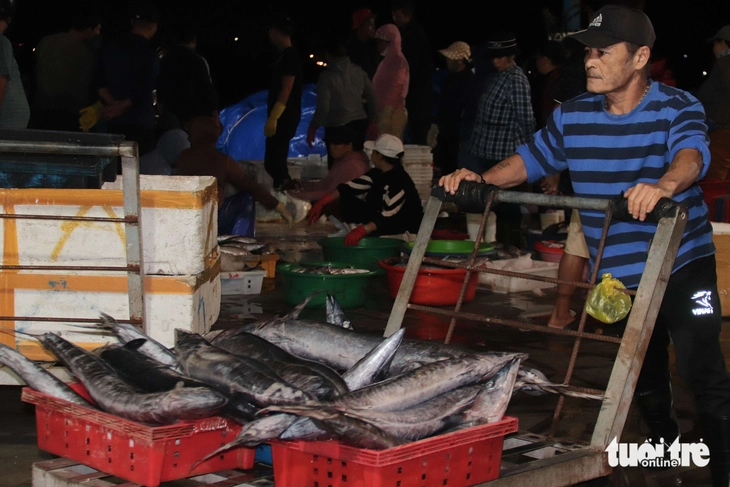 cảng cá - Ảnh 5.