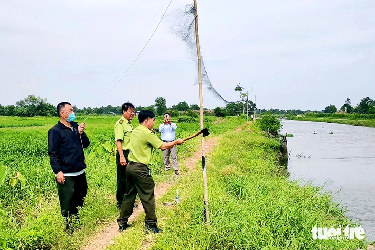 Tháo gỡ 240m lưới giăng bẫy chim ở xã Đông Thạnh, TP.HCM - Ảnh 1.