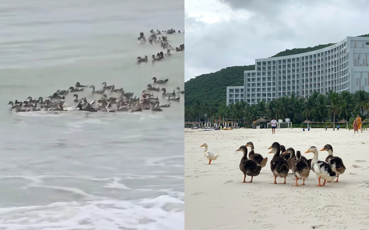 Giả gái để trả thù... mẹ - Ảnh 3.