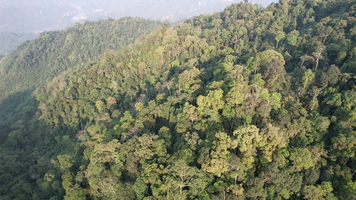 phát thải - Ảnh 1.