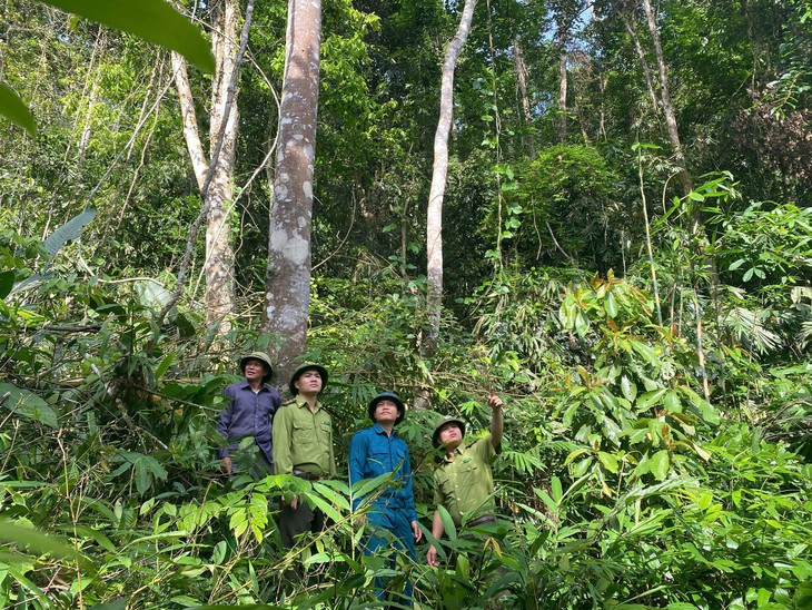 phát thải - Ảnh 3.