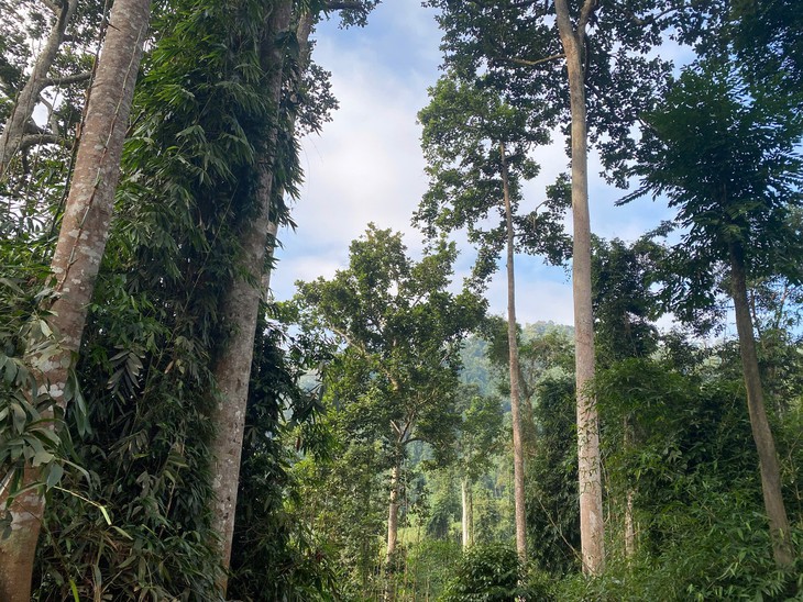 phát thải - Ảnh 4.