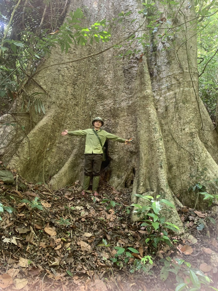 phát thải - Ảnh 6.