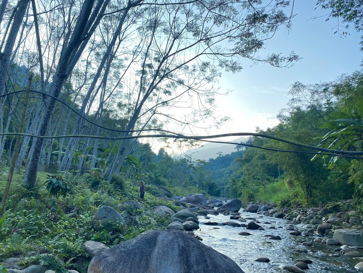 Giữ được rừng xanh, đồng bào vùng cao được chi trả tiền giảm phát thải khí nhà kính - Ảnh 5.