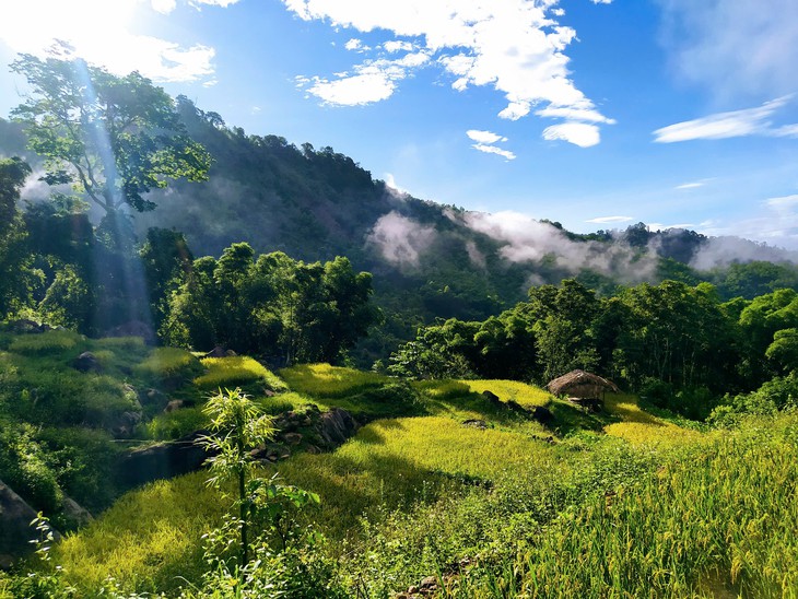 phát thải - Ảnh 7.