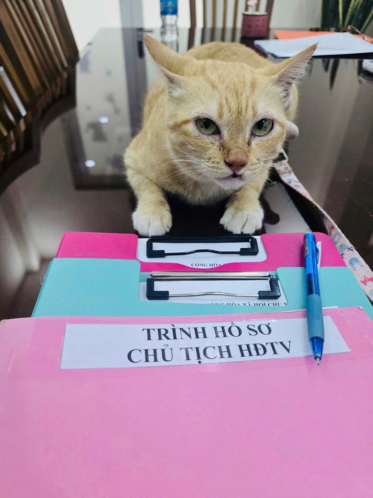 giám đốc - Ảnh 2.