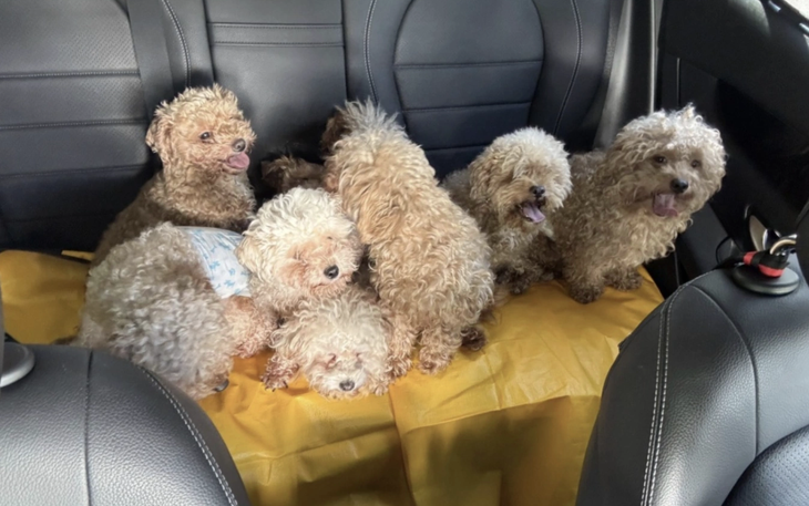 Công ty cử người đi 'soi' toilet, phát hiện ai quá 15 phút phạt 1,7 triệu - Ảnh 3.