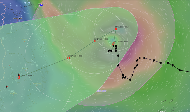 bão số 15 - Ảnh 2.