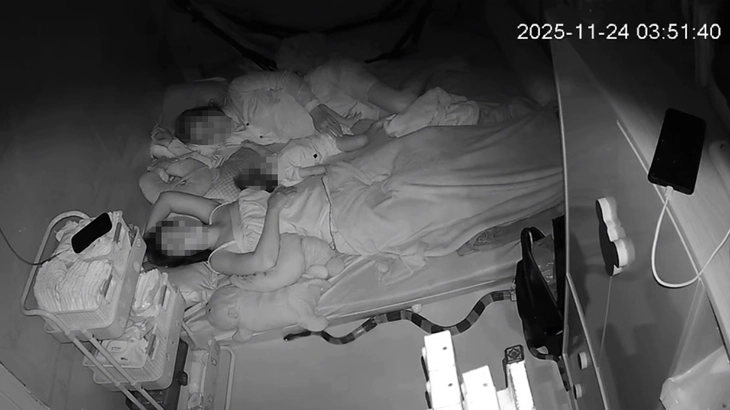 rắn độc - Ảnh 1.