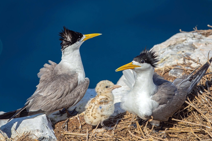 Côn Đảo - Ảnh 2.