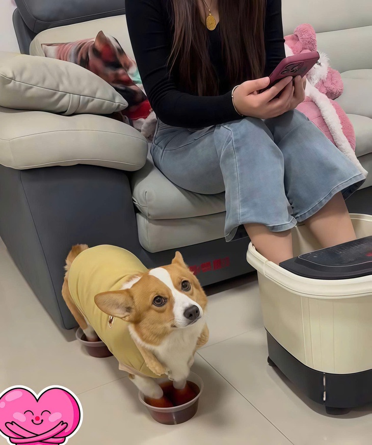 giám đốc - Ảnh 6.