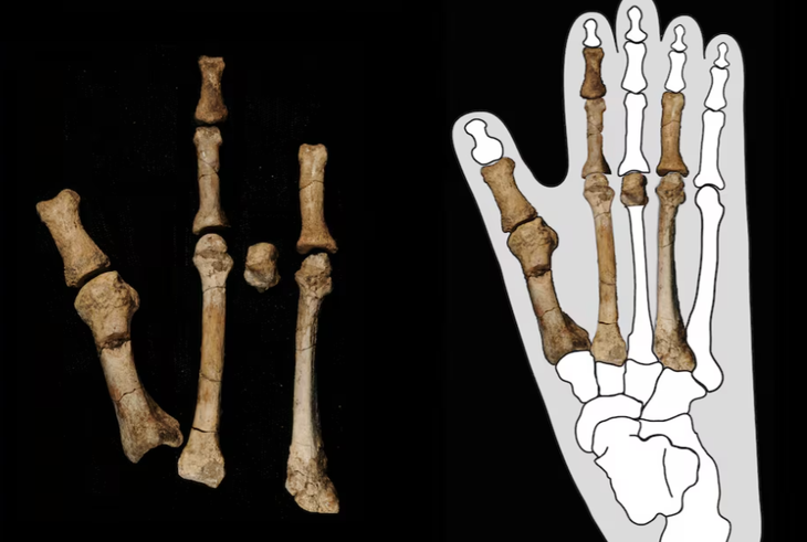 loài người - Ảnh 2.