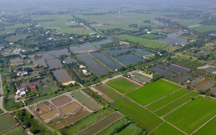 Bảng giá đất mới ở TP.HCM dự kiến như cũ, người dân và doanh nghiệp có bị ảnh hưởng?- Ảnh 2.