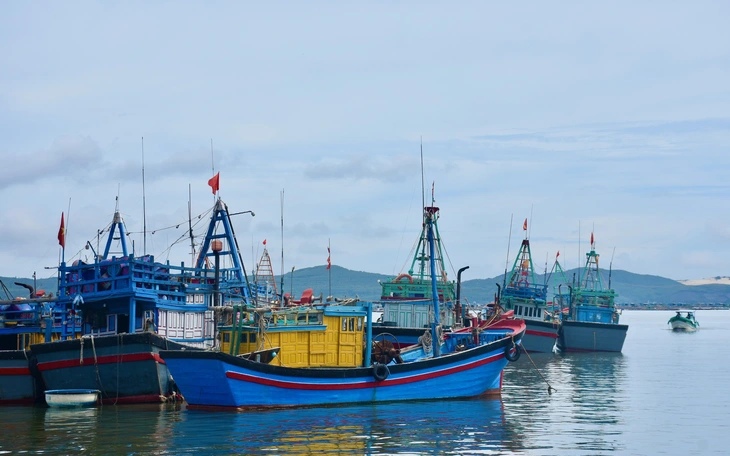 Tất bật đưa tôm hùm 'chạy' bão Kalmaegi- Ảnh 2.