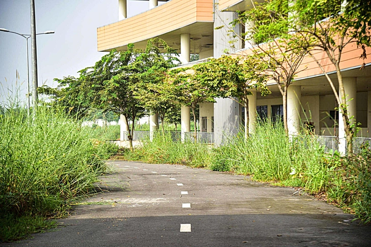 Bệnh viện lớn nhất TP.HCM khi nào hoạt động? - Ảnh 2. Bệnh viện lớn nhất TP.HCM khi nào hoạt động? - Ảnh 2.