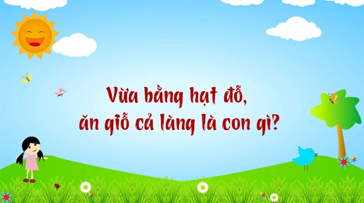 câu đố - Ảnh 5.