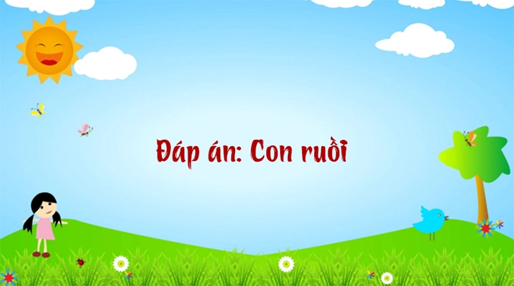 câu đố - Ảnh 6.