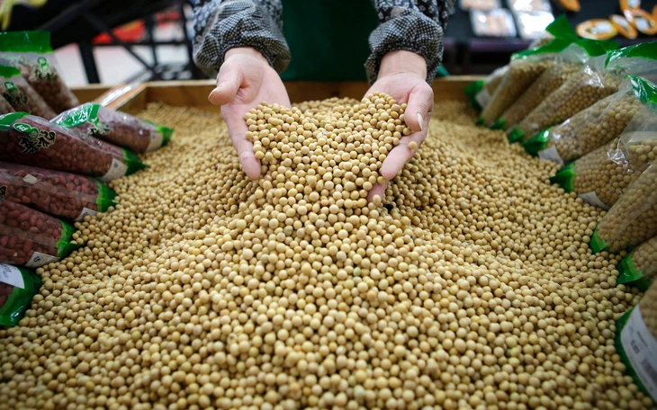 Trung Quốc tạm dừng thu 'phí cảng đặc biệt' với tàu Mỹ - Ảnh 3.