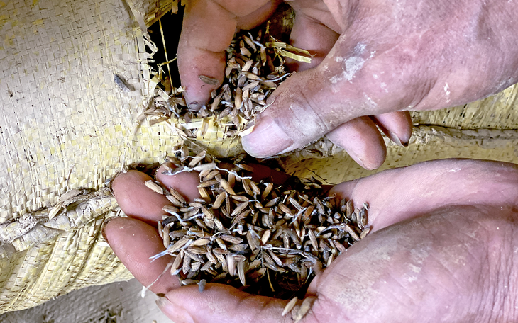 Lụt dâng cao trở lại, phố cổ Hội An vẫn nườm nượp khách - Ảnh 10.