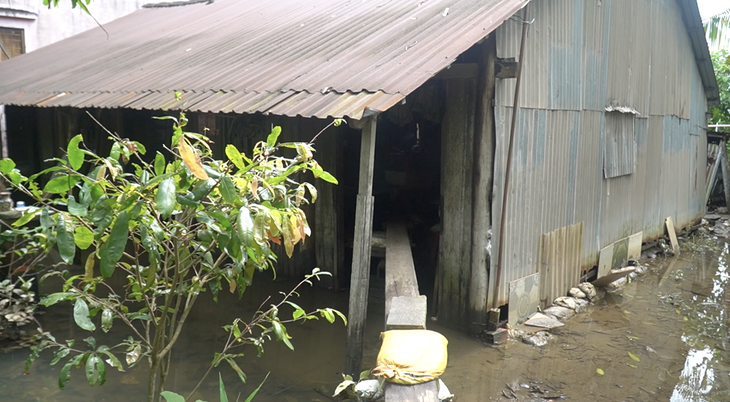 điện giật - Ảnh 3.