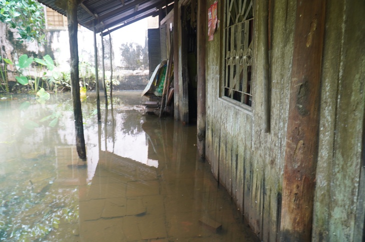 điện giật - Ảnh 1.