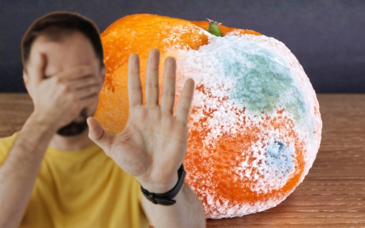 Đừng liều ăn thực phẩm mốc, nguy hiểm khôn lường - Ảnh 1.