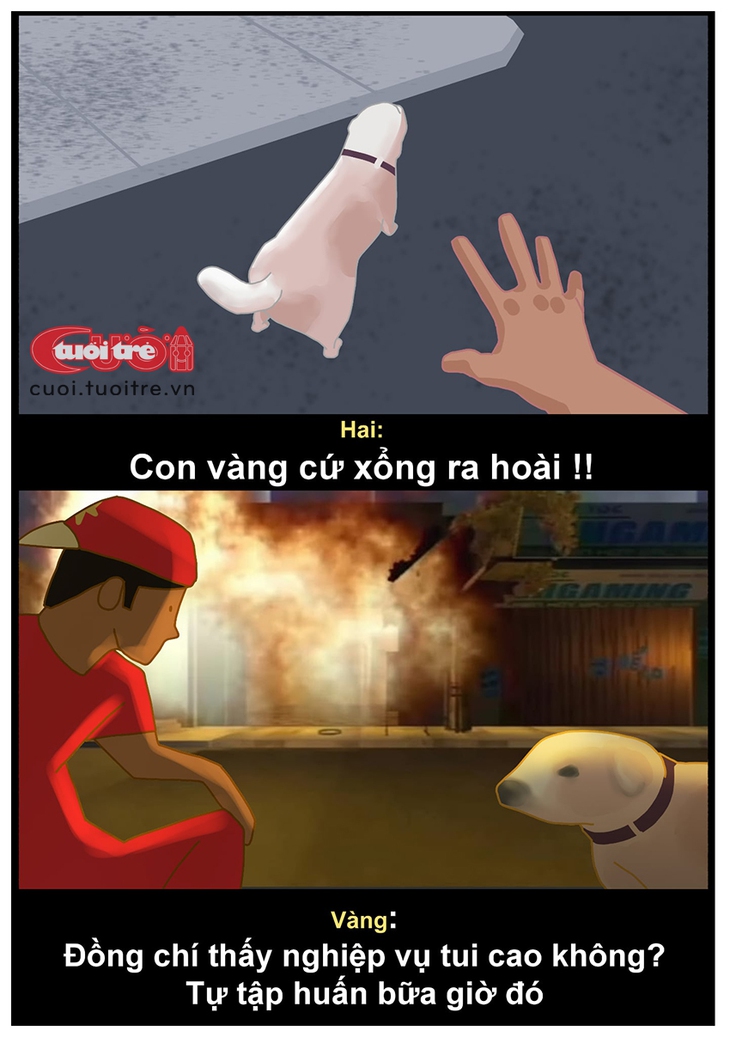 Cậu Vàng cứu chủ tiệm Brother Hai's Pho Restaurant - Ảnh 1.