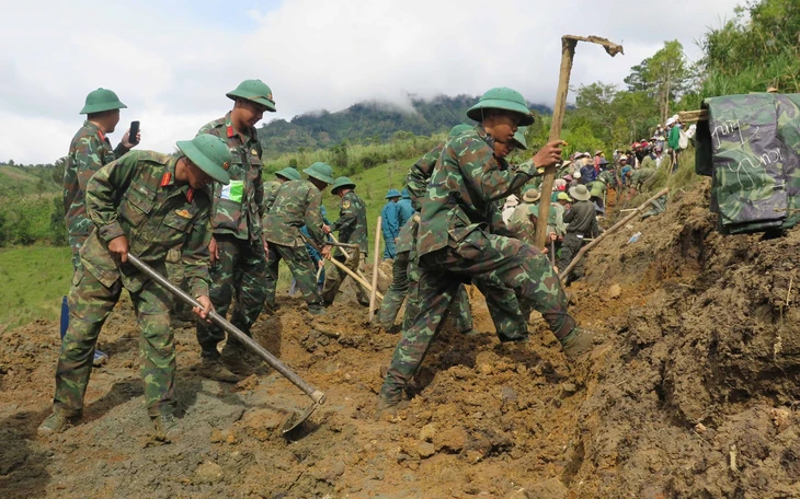 Sóng lớn chưa từng thấy đánh "chổng vó" hàng phi lao hàng chục năm tuổi ở biển Quảng Ngãi - Ảnh 2.