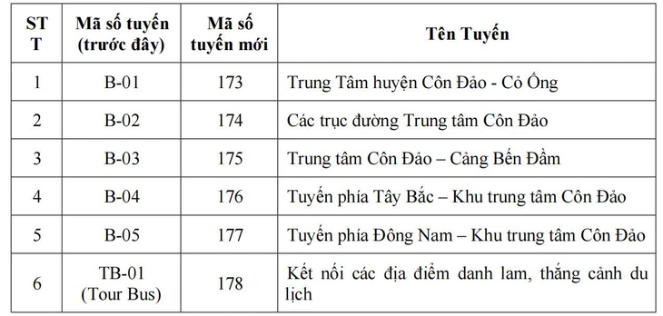 buýt điện - Ảnh 2.