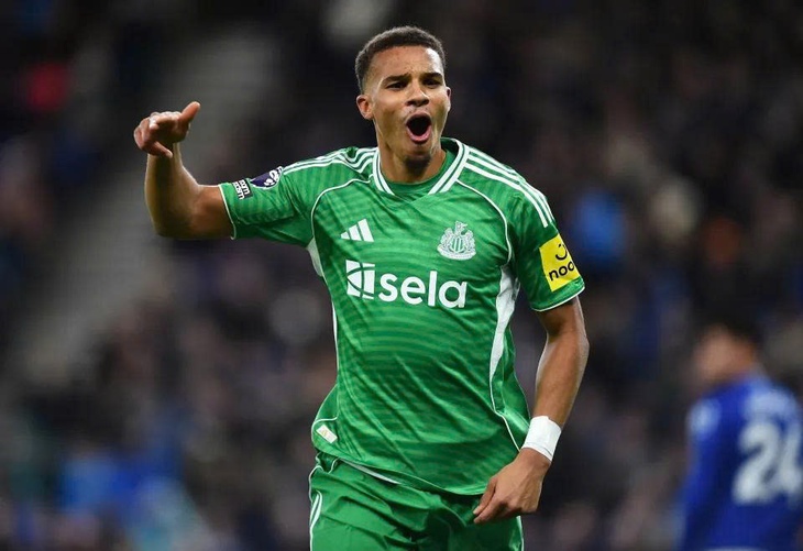 Newcastle - Ảnh 1.