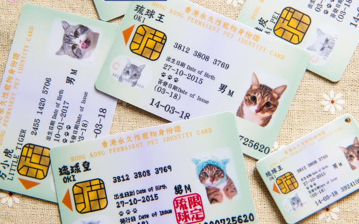 Nhu cầu chăm sóc sức khỏe cho thú cưng tăng trưởng 2 con số - Ảnh 5.