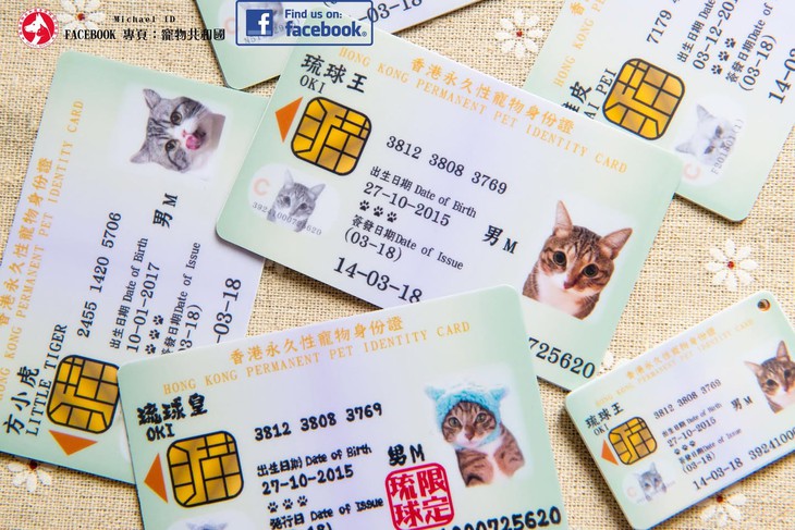 Hong Kong - Ảnh 1.