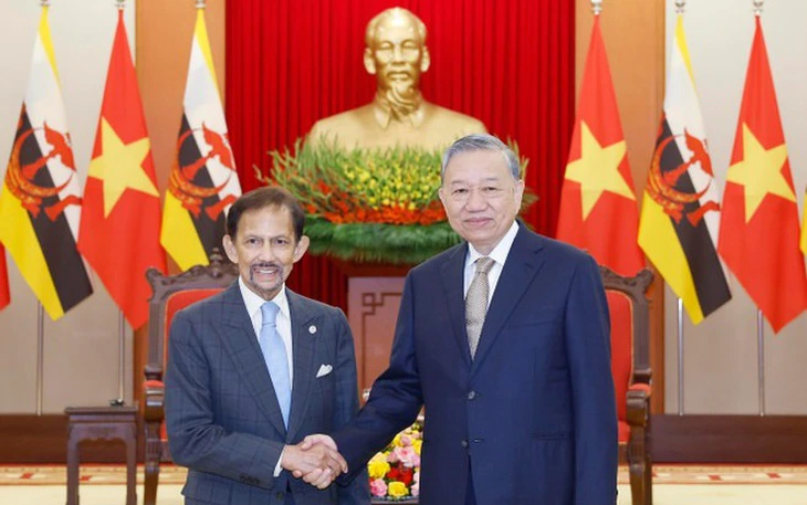 Chủ tịch nước Lương Cường chủ trì lễ đón Quốc vương Brunei- Ảnh 8.