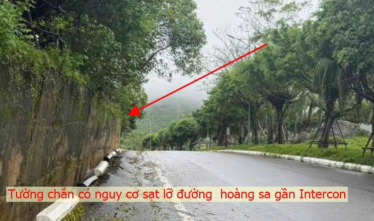 Sơn Trà - Ảnh 4.