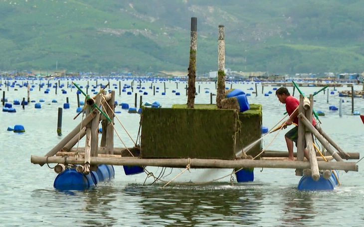 Chứng khoán Việt Nam chịu ảnh hưởng ra sao khi bão lũ hoành hoành? - Ảnh 2.