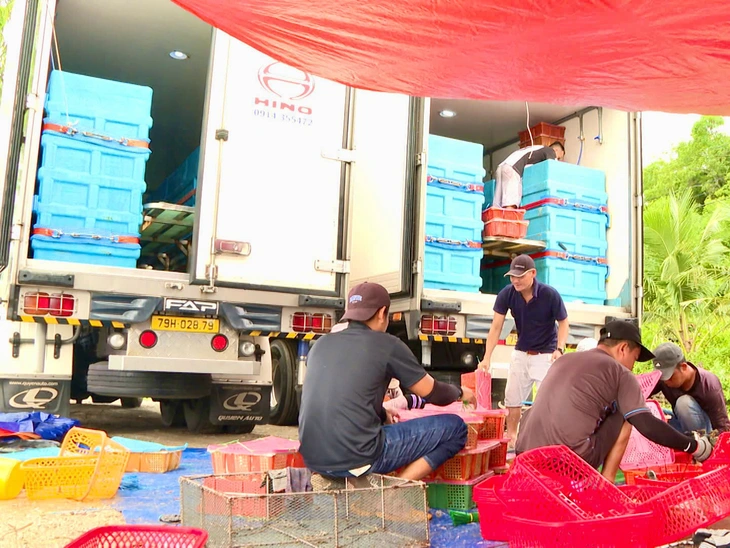 Làm sao giảm thiểu thiệt hại thủy sản nuôi do sốc nước ngọt sau bão lũ?- Ảnh 3. Làm sao giảm thiểu thiệt hại thủy sản nuôi do sốc nước ngọt sau bão lũ? - Ảnh 3.