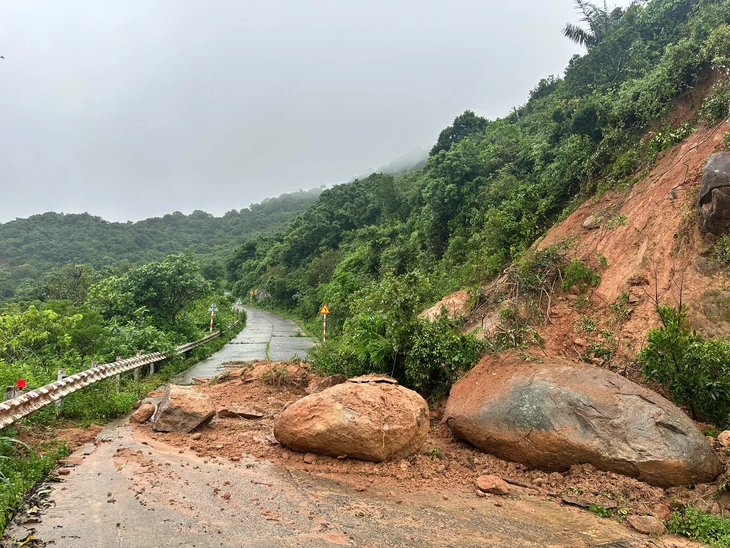 Sơn Trà - Ảnh 1.