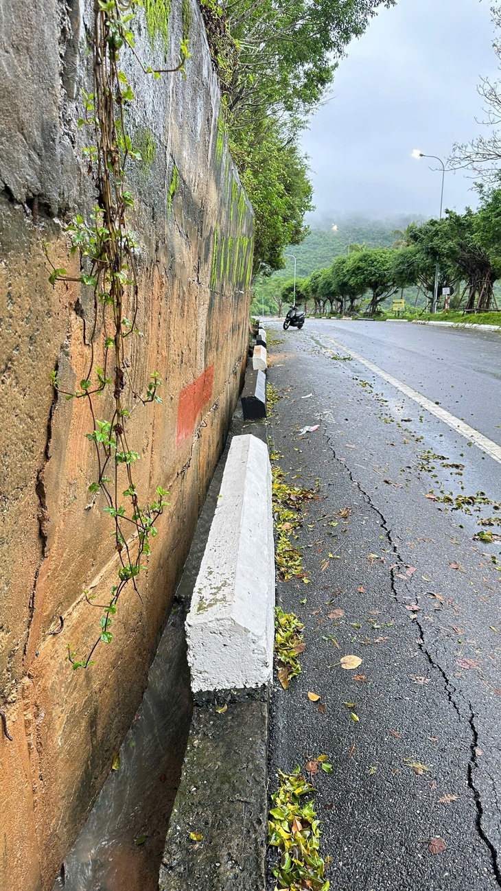 Sơn Trà - Ảnh 3.