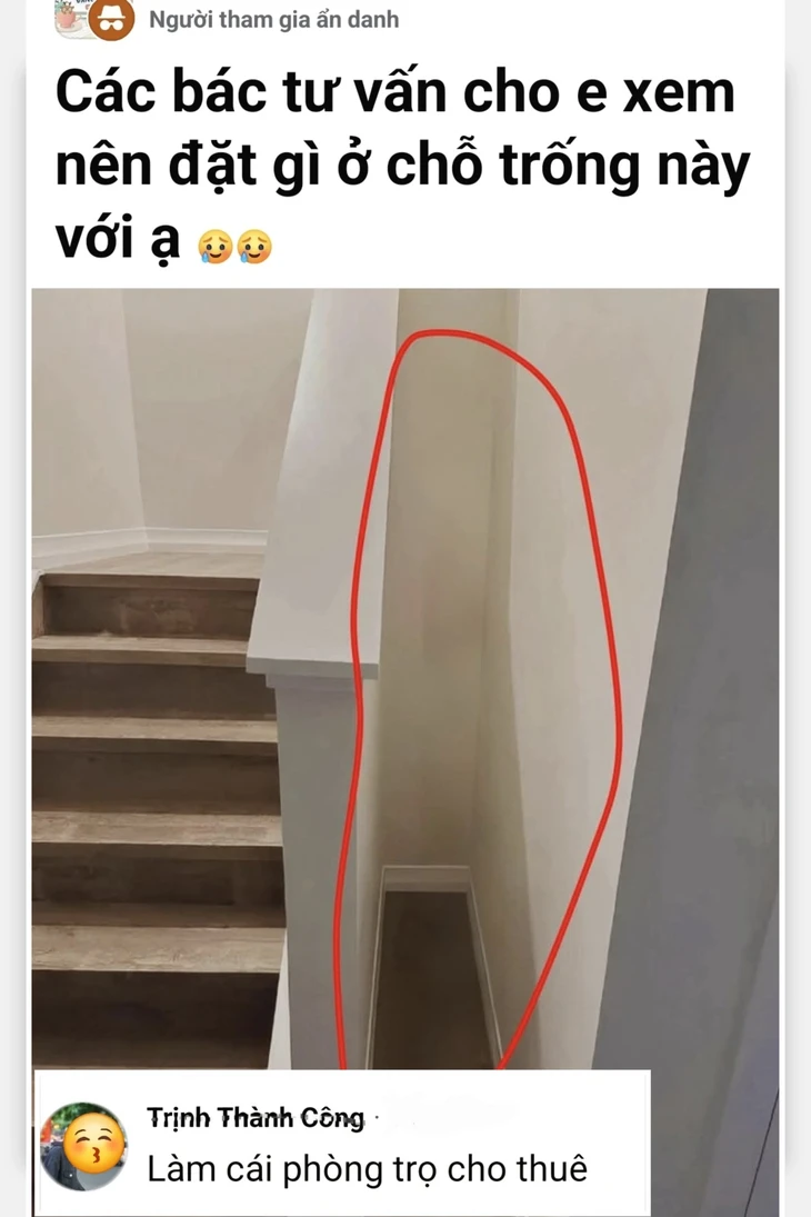 Cậu Vàng - Ảnh 2.