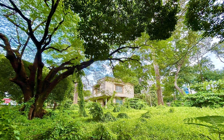 Sun Group cam kết hoàn thành công trình số 1 Lý Thái Tổ trước Tết 2026, giữ nguyên trạng cây xanh - Ảnh 2.