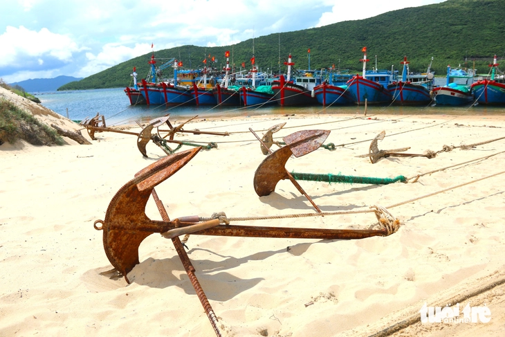 Từ 'bài học xương máu' bão Damrey, trời nắng đẹp, dân Khánh Hòa vẫn khẩn trương ứng phó bão Kalmaegi- Ảnh 5. bão Kalmaegi - Ảnh 6.