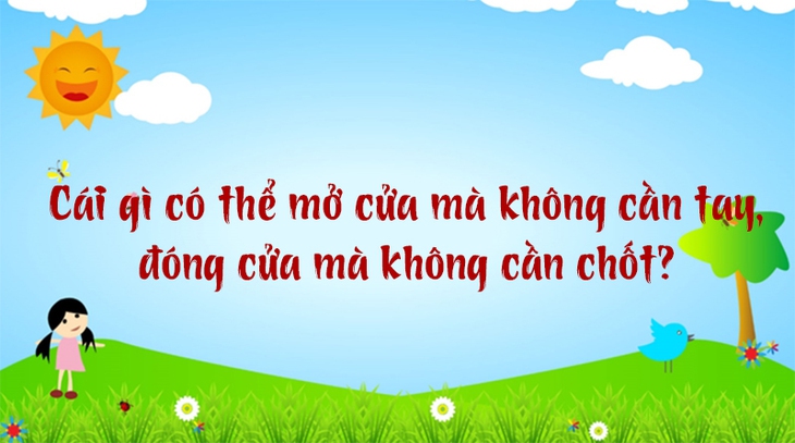 câu đố - Ảnh 5.