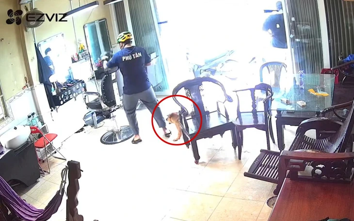 Bạn càng chạy, nó càng khó bắt kịp, đó là gì? - Ảnh 11.